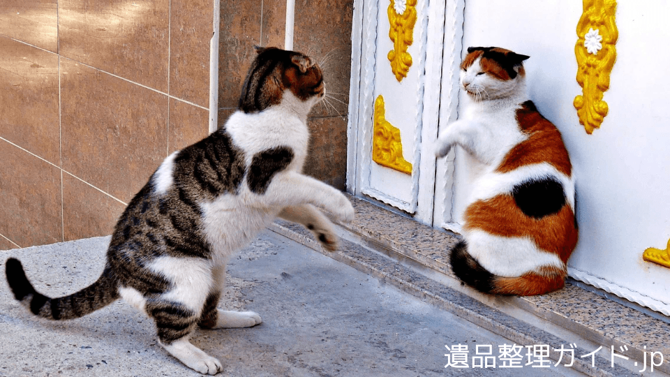 親族トラブルと法律の落とし穴｜勝手に処分してはいけない遺品ガイド